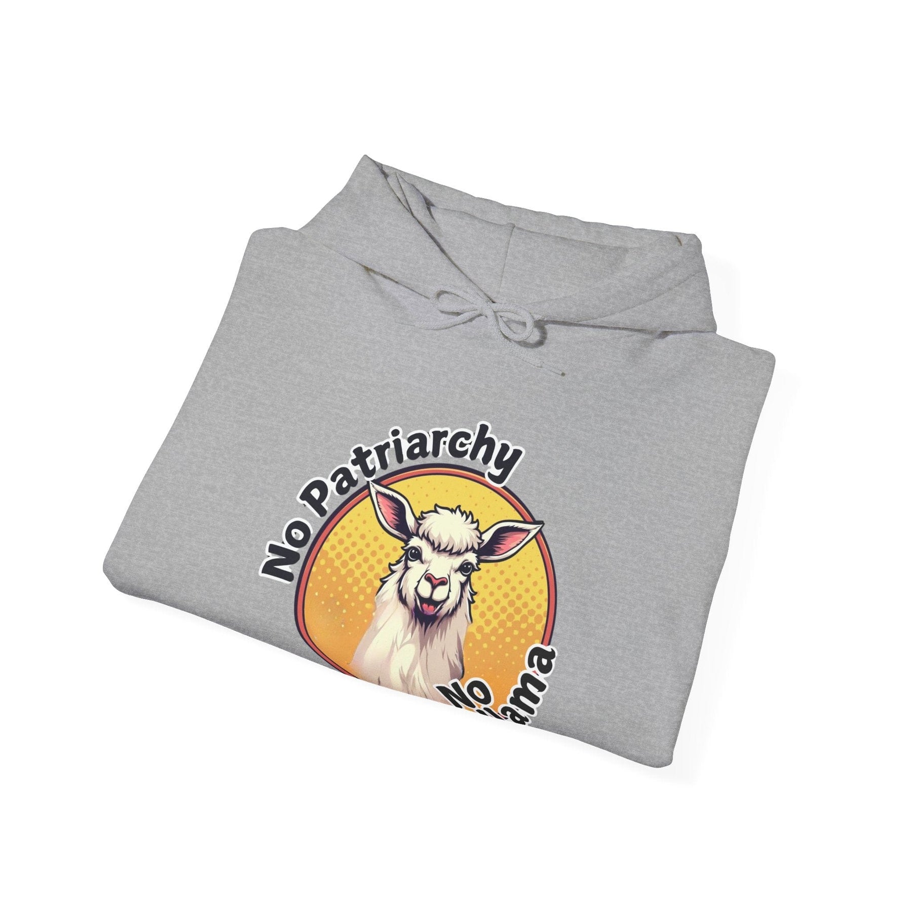 No Patriarchy No Probllama - Unisex Heavy Blend™ Hooded Sweatshirt