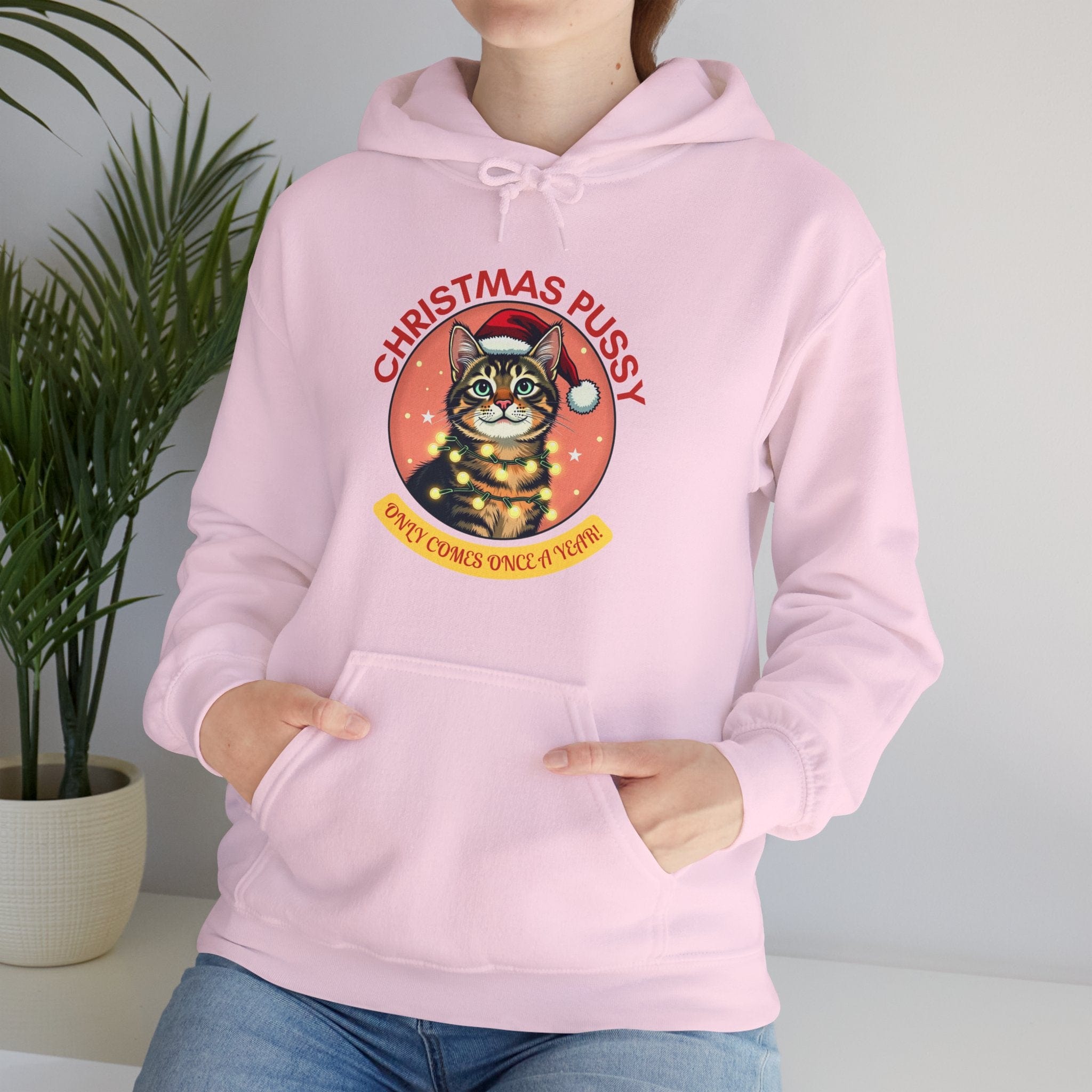 Christmas Pussy - Tabby Cat - Unisex Heavy Blend™ Hooded Sweatshirt