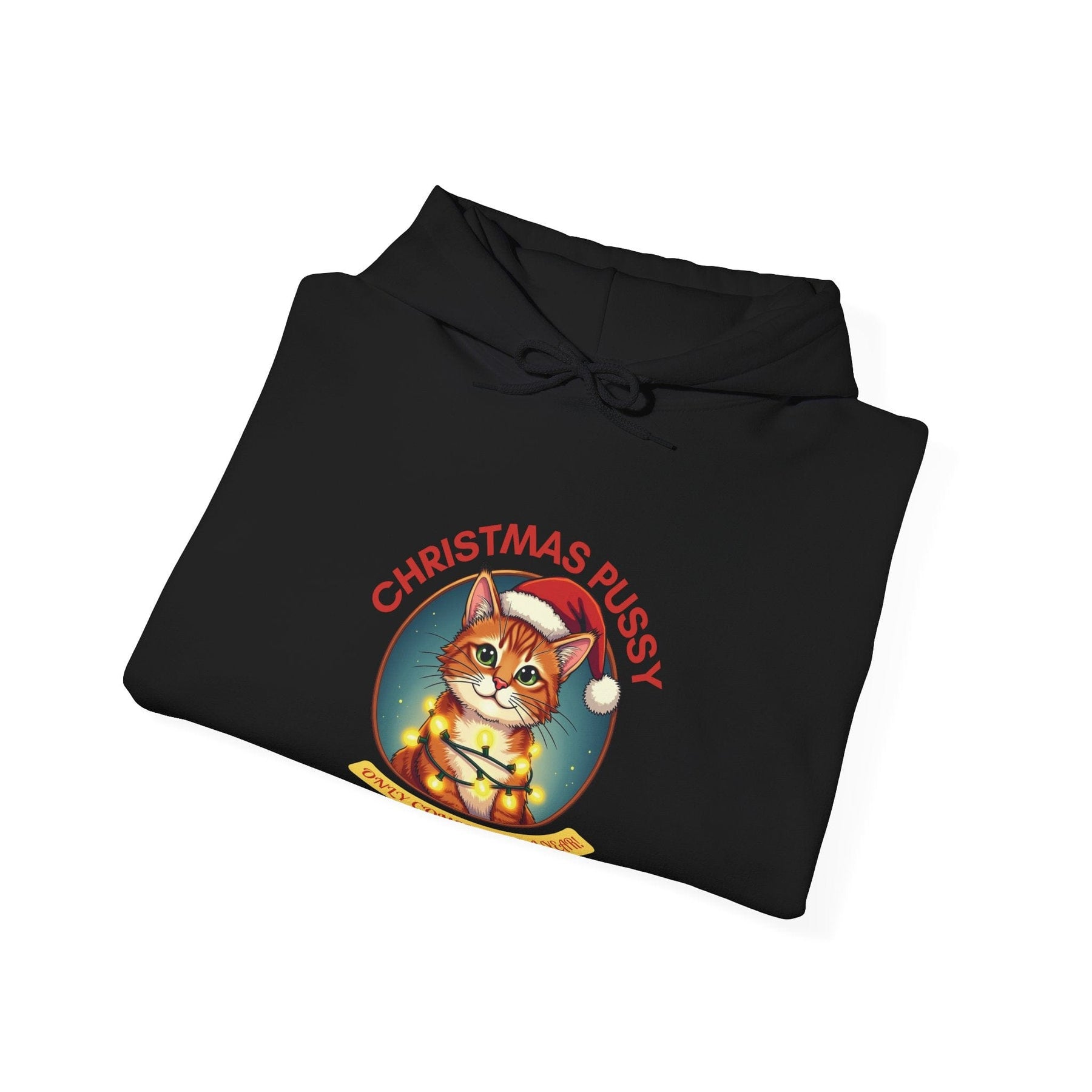 Christmas Pussy - Ginger Cat - Unisex Heavy Blend™ Hooded Sweatshirt